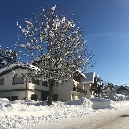 Haus Alpentraum Διαμέρισμα Patergassen Εξωτερικό φωτογραφία